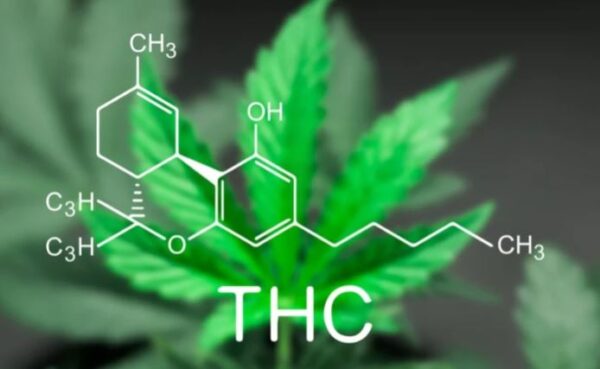 What is THC?
