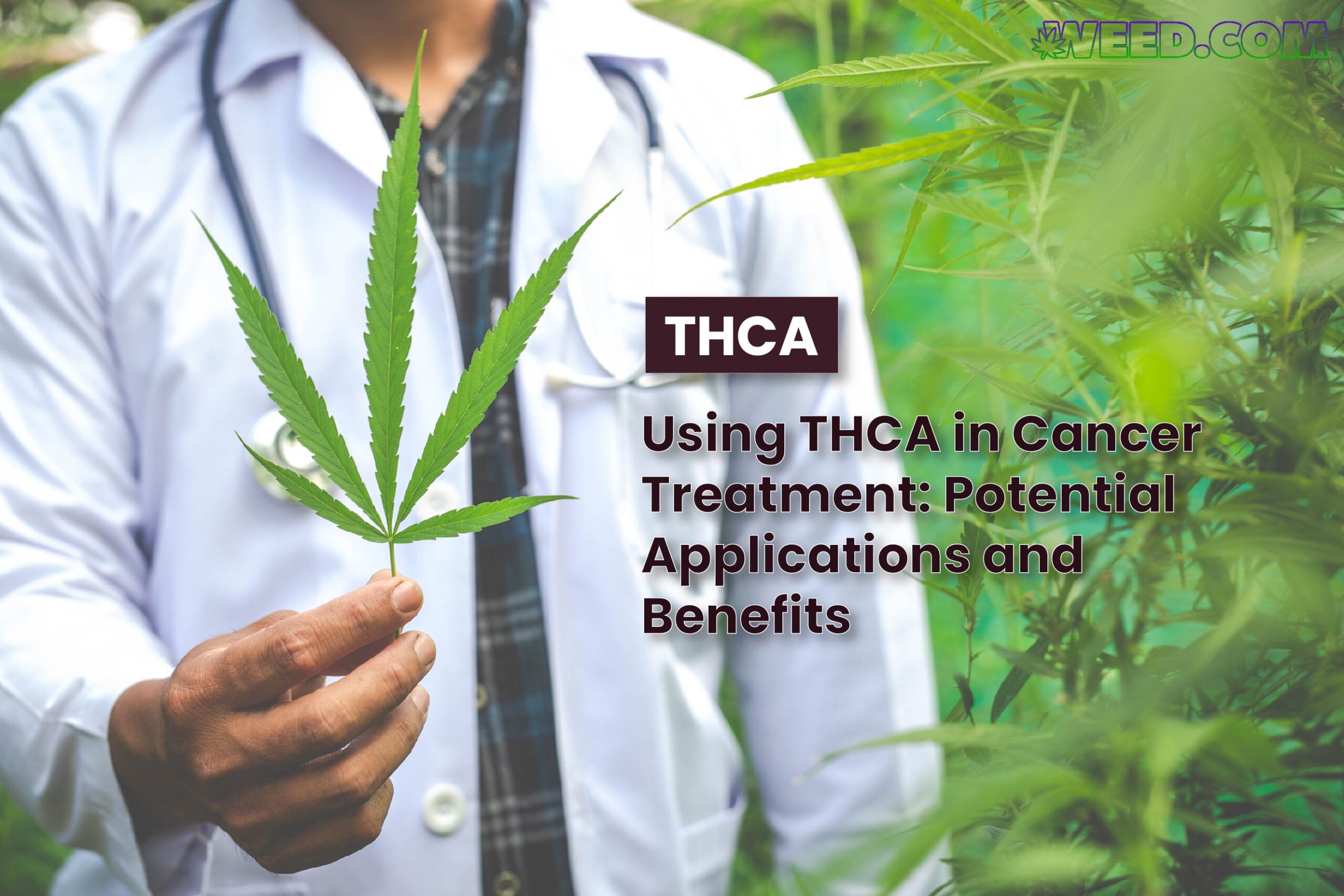Using THCA in Cancer Treatment: Potential Applications and Benefits