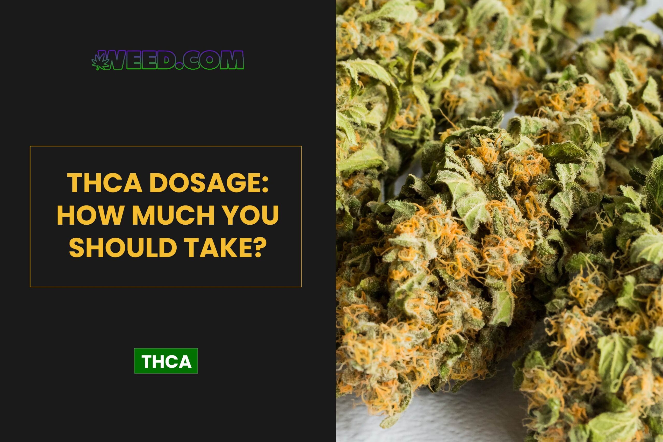 Determining the Right Dosage