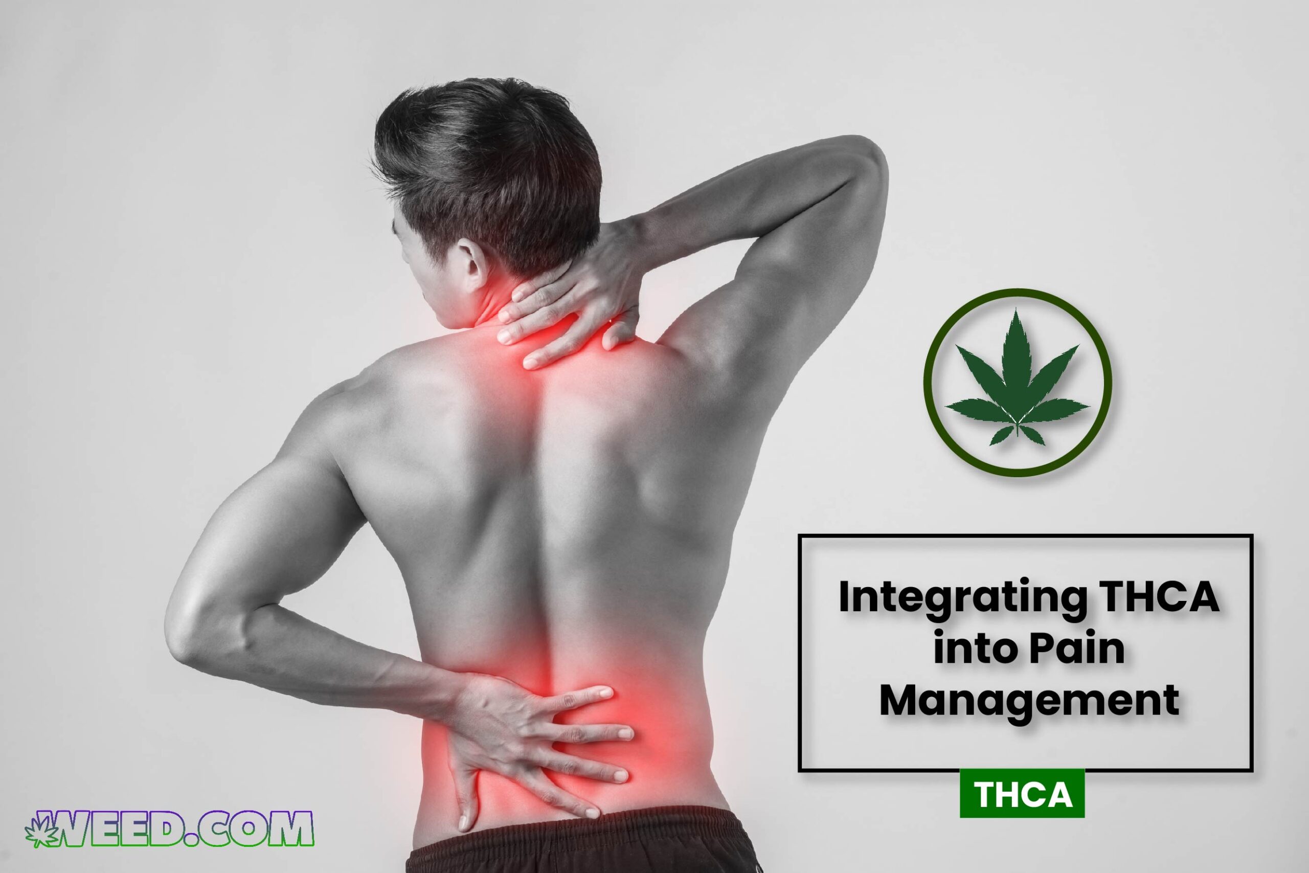 Integrating THCA into Pain Management