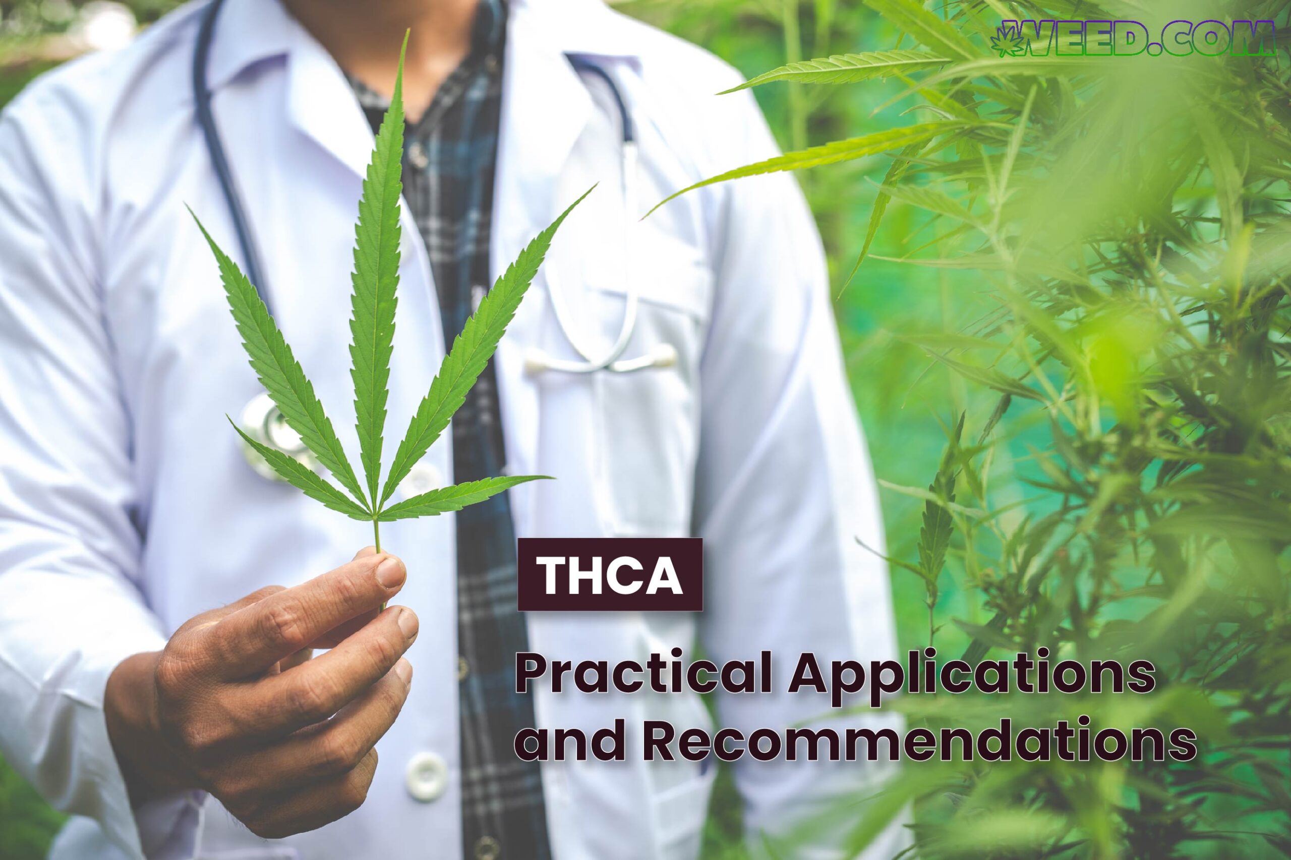 Practical Applications and Recommendations