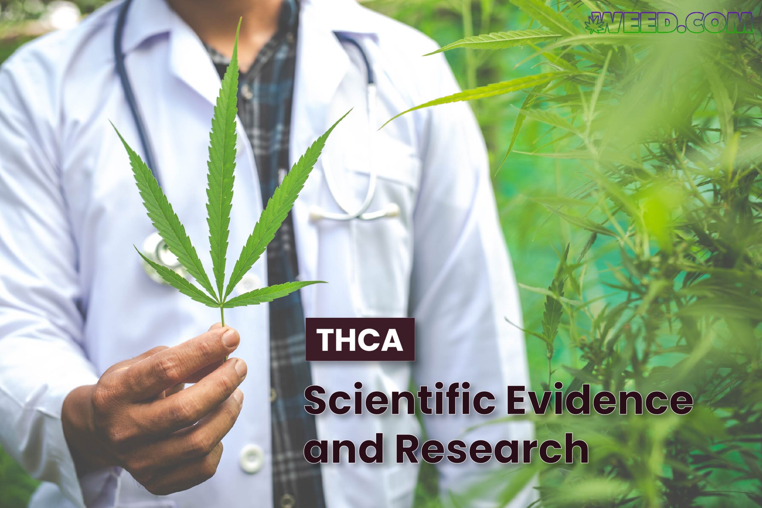 Scientific Evidence and Research