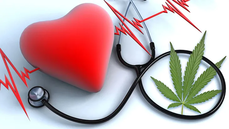 THCA and Its Effects on Cardiovascular Health