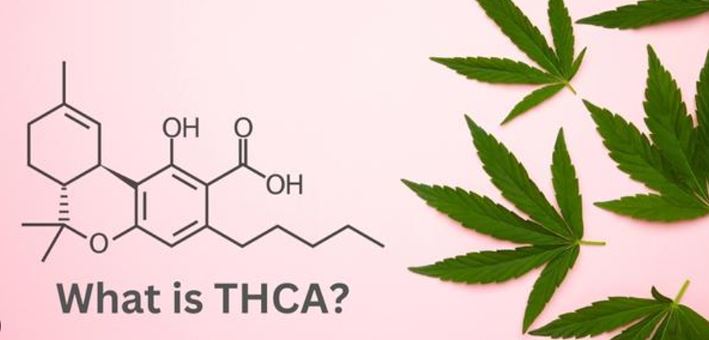 What is THCA?