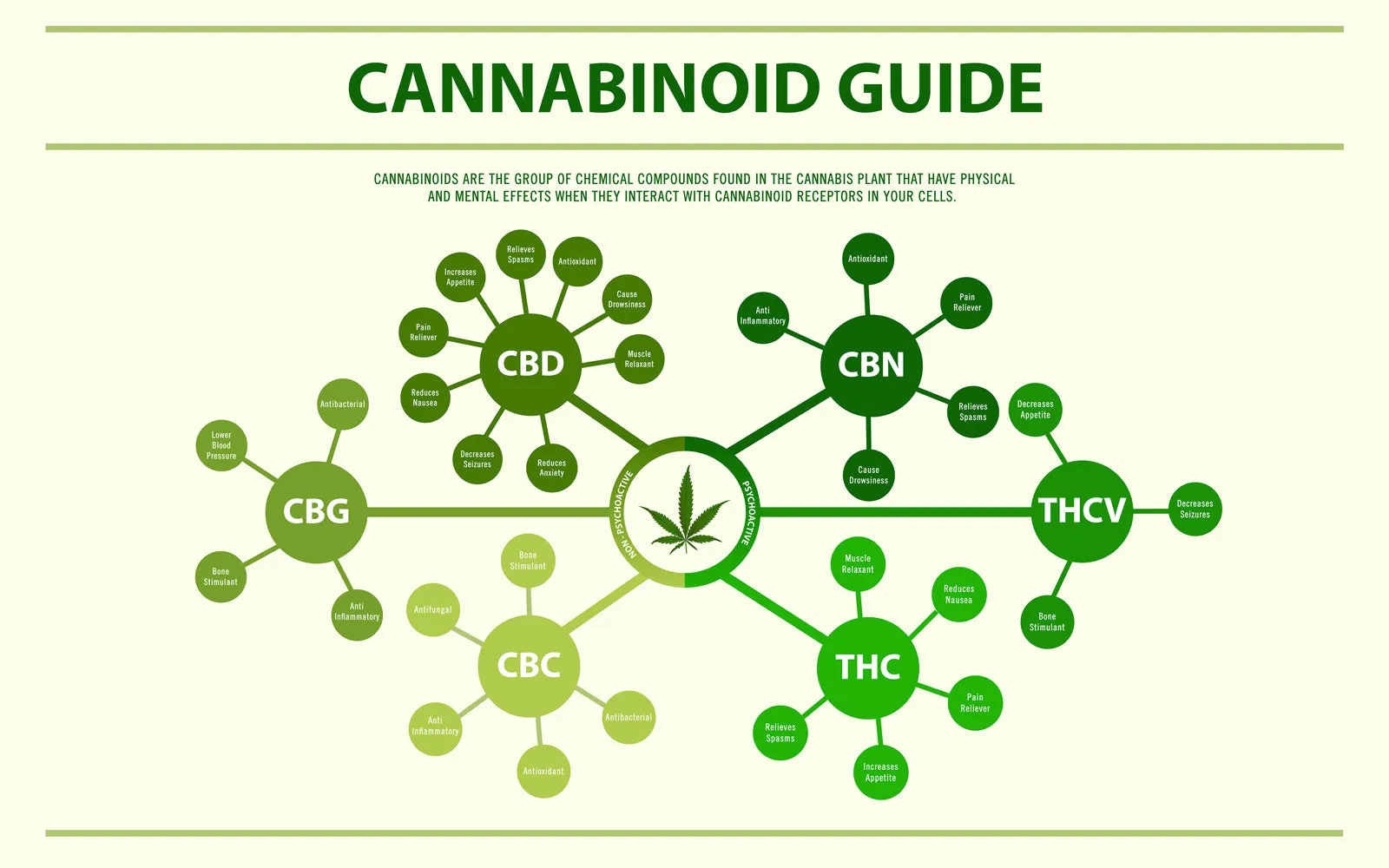 Featured image for “THCA and the Endocannabinoid System: How It Works”