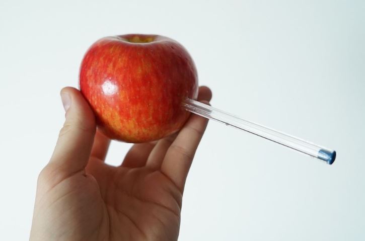 apple-bong