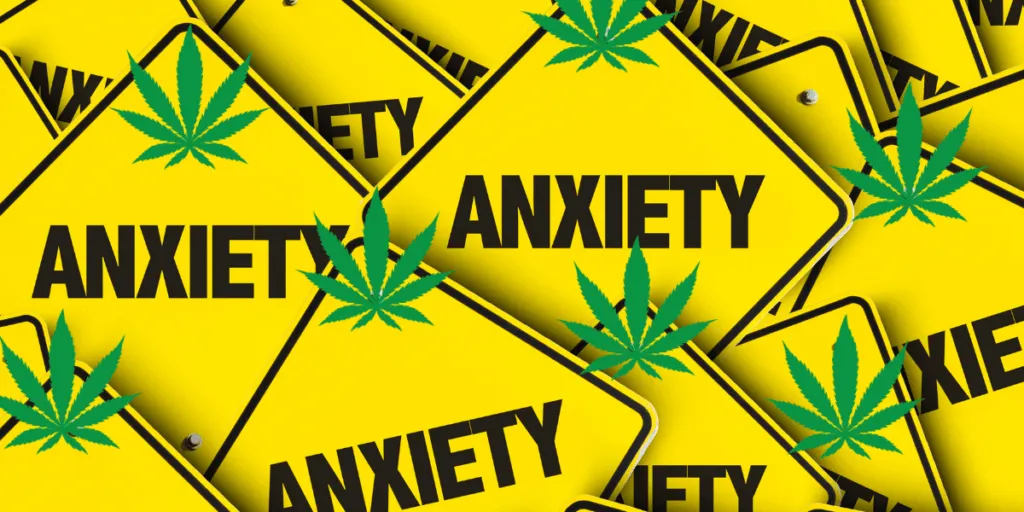Featured image for “THCA for Anxiety: Does It Help?”
