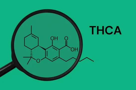 Featured image for “THCA side effects: is thca safe?”