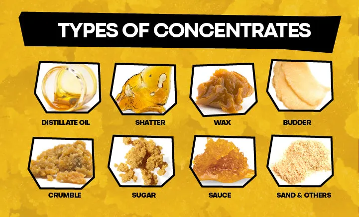 Featured image for “THCA Concentrates: Types and Uses”