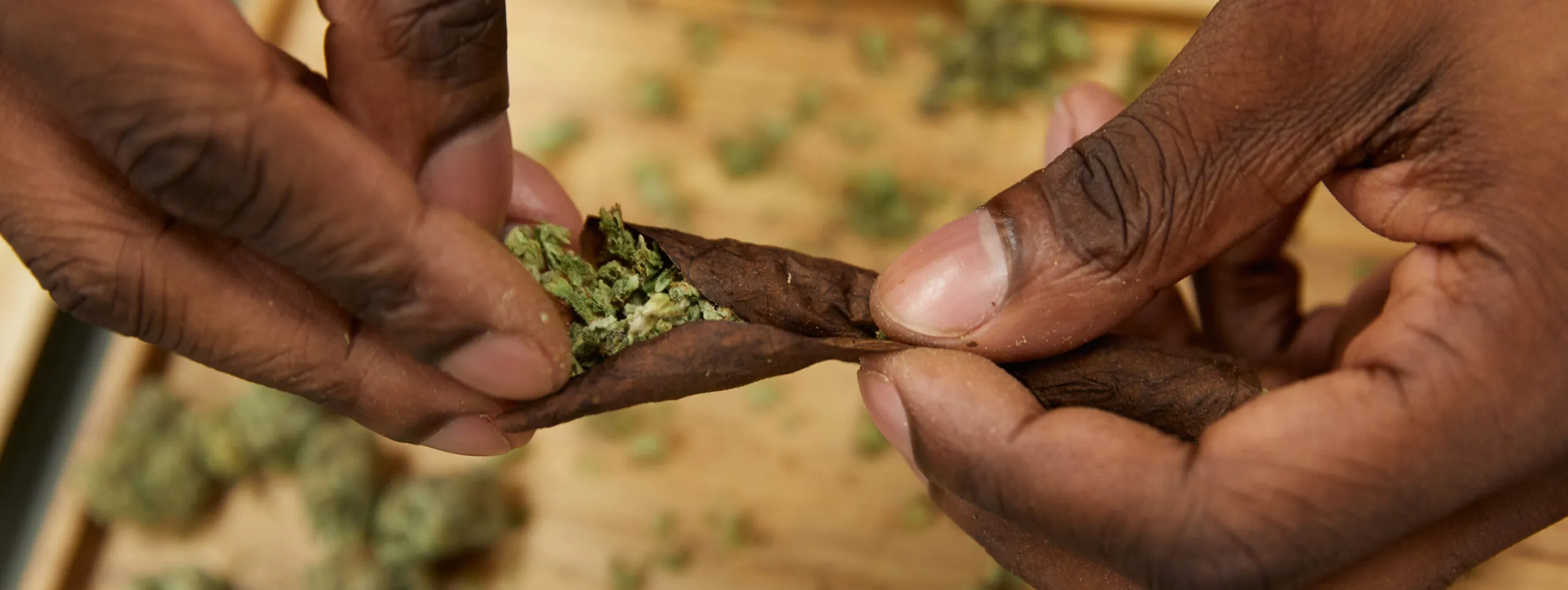 How To Roll a Blunt