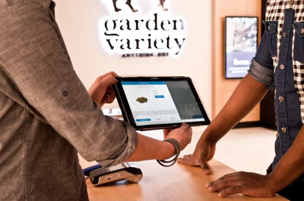 Insights from Industry Experts