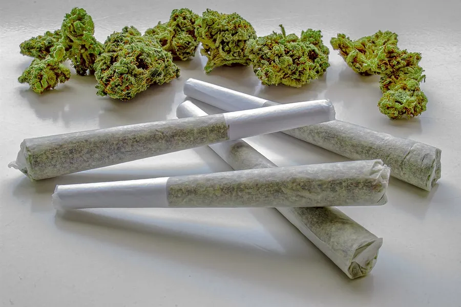 Featured image for “How to Roll a Joint”