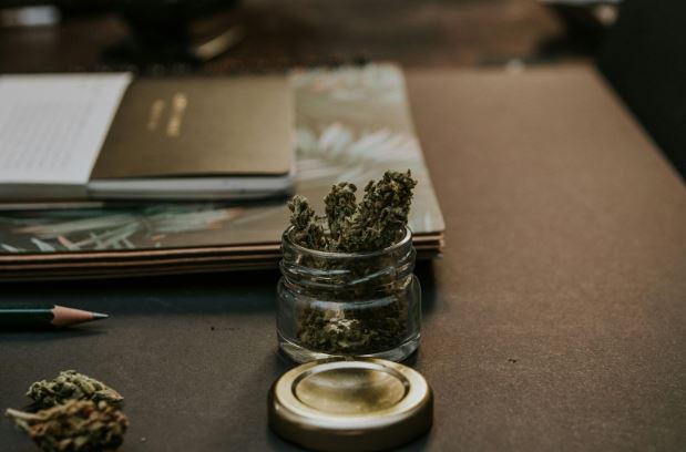 Featured image for “The Ultimate Guide to Weed Strains: Find Your Perfect Match”