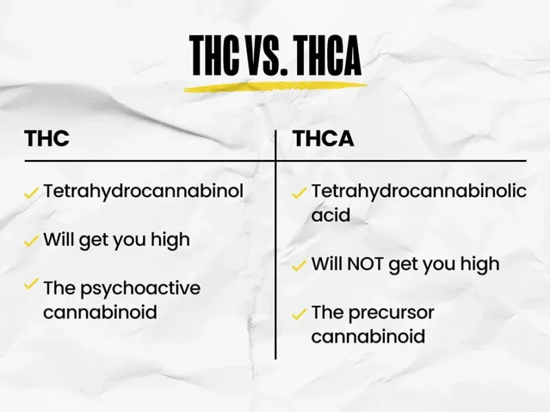 THC vs THCA