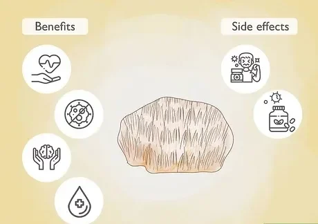 How to Make Shroom Tea