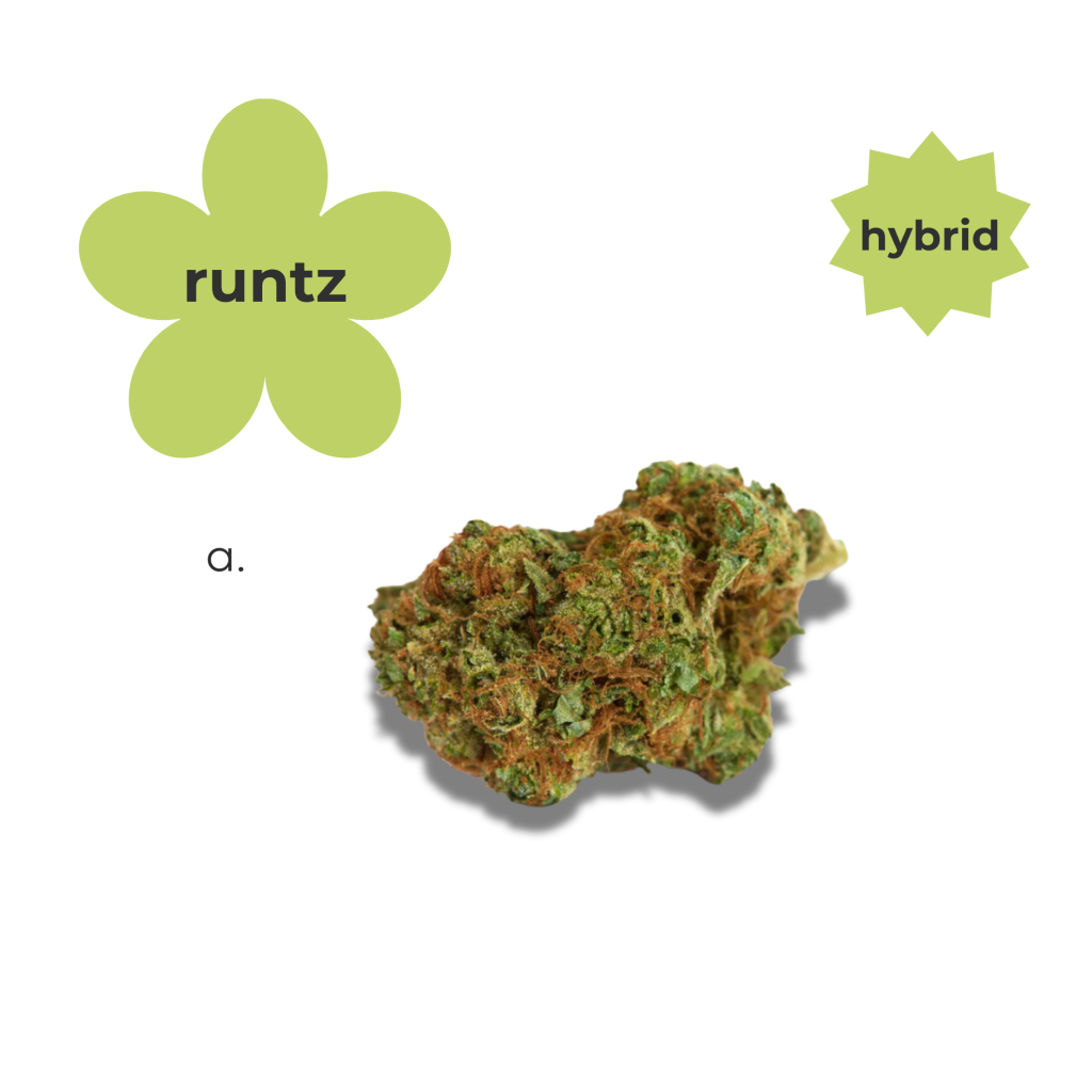 Runtz - Hybrid Go Easy THC-A Pre-Roll